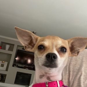 Meet your Posher, Tiara